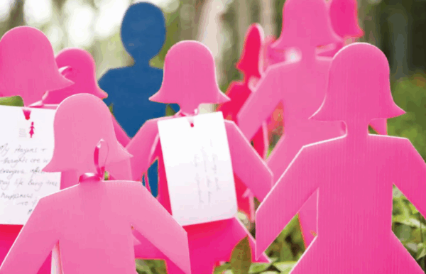 PINK LADY - BCNA Fundraiser