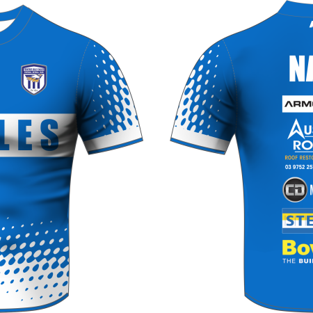 Alternative view of 2026 Training Top